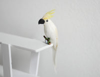 1:12 scale Miniature Dollhouse White Parrot, miniature animal bird D085