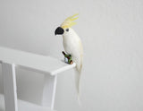 1:12 scale Miniature Dollhouse White Parrot, miniature animal bird D085