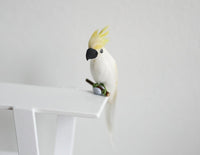 1:12 scale Miniature Dollhouse White Parrot, miniature animal bird D085