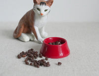 1:12 Dollhouse Miniature pet dry food with bowl miniature pet accessories, pet food, dog food, cat food H040