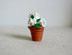1:12 scale miniature potted white rose plant with green leaves in a terracotta pot, shown on a pale surface