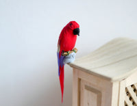 1:12 scale Miniature Dollhouse Red Parrot, miniature bird - D085