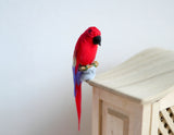 1:12 scale Miniature Dollhouse Red Parrot, miniature bird - D085