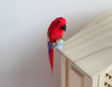 1:12 scale Miniature Dollhouse Red Parrot, miniature bird - D085