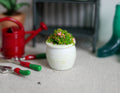 1:12 scale miniature potted moss plant with pink flowers in a white pot, shown beside a red watering can and garden tools