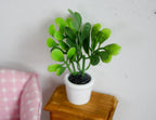 1:12 scale miniature potted plant with round green leaves in a white pot, shown on a small wood side table