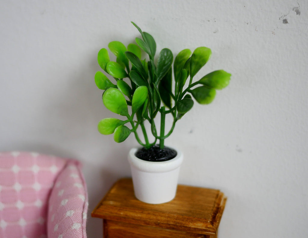 1:12 Scale Miniature Potted Plant with Round Leaves, White Pot, 2-9/16 inch tall, DIY Dollhouse Supply