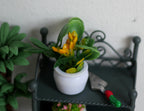 1:12 scale miniature potted flowering plant in orange and yellow in a white pot, shown on a green metal shelf