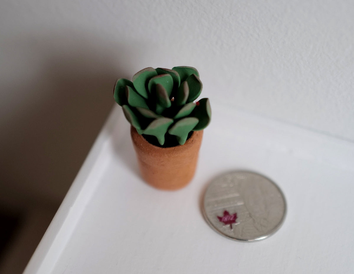 1:12 Scale Miniature Potted Succulent in Terracotta Pot, Rosette Leaves, 1-3/8 inch tall, DIY Dollhouse Supply