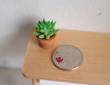 Dollhouse miniature plant with clay pot 1:12 scale plant - 13/16"(H) - B067