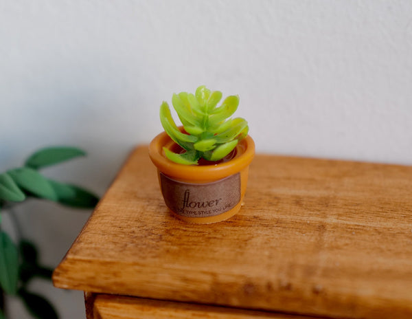 Miniature Small Plant with Pot 1:12 Scale - B063
