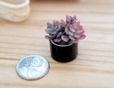 Dollhouse Supplies miniature plant in vase dolls house decoration living room 1 12th scale miniature (E) B067