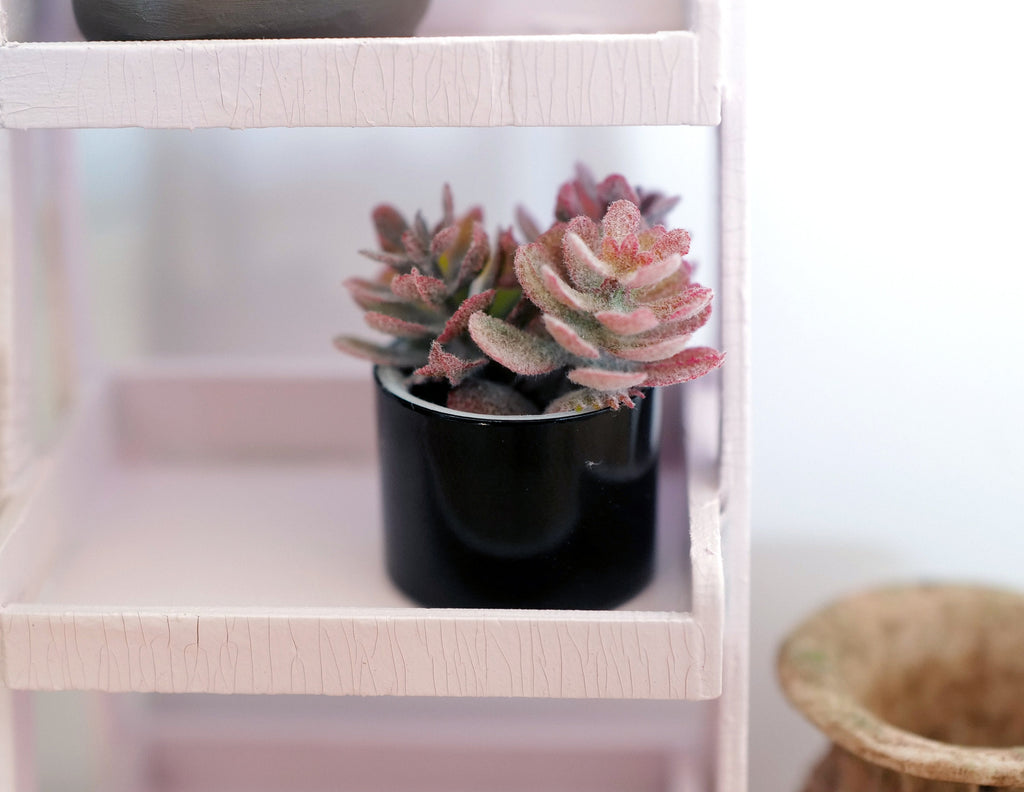 1:12 Scale Miniature Succulent Plant in Round Pot, Rosette, 1-3/16 inch tall, DIY Dollhouse Supply (black) (E)