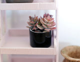 Dollhouse Supplies miniature plant in vase dolls house decoration living room 1 12th scale miniature (E) B067