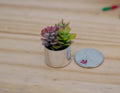 1:12 Scale Miniature Succulent Plants in Metal Pot, 1-3/16 inch tall, DIY Dollhouse Supply (silver) (F)