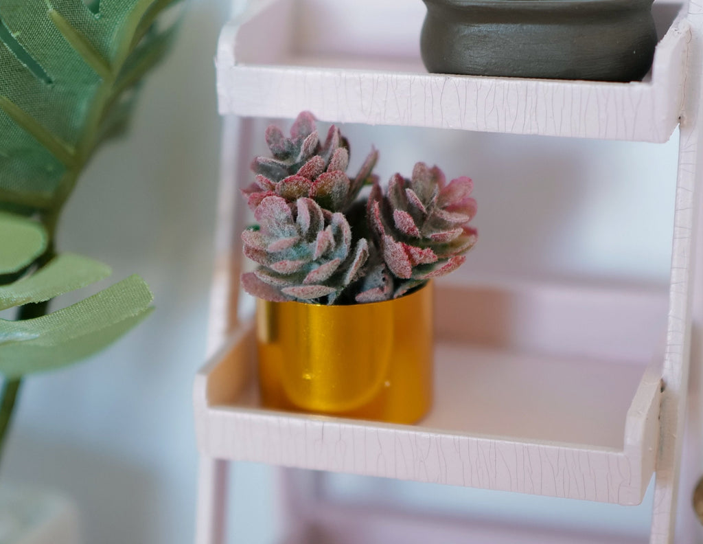 1:12 scale miniature succulent plants in gold round pot, pink and green rosettes, shown on a pink shelf