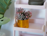 Dollhouse Supplies miniature plant in vase dolls house decoration living room 1 12th scale miniature (D) - B067
