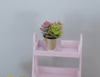 1:12 Scale Miniature Succulent Plants in Metal Pot, 1-3/16 inch tall, DIY Dollhouse Supply (silver) (F)