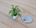 1/12スケール ミニチュア 鉢植えのシダ（白鉢）、高さ約3cm、ドールハウス用DIYパーツ（ダークグリーン）