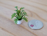 1:12 Dollhouse Supplies miniature plant with white pot miniature leafy tree 1-3/16 inch tall  (dark green) - B058