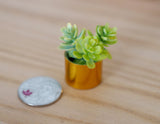 1:12 Dollhouse Supplies miniature plant in copper style vase - B067