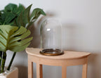1:12 scale miniature large glass dome on a bronze metal base, clear bell jar on a half round wood table beside a plant