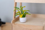 1:12 Dollhouse Supplies miniature plant with white pot miniature leafy tree 1-3/16 inch tall  (green) - B058