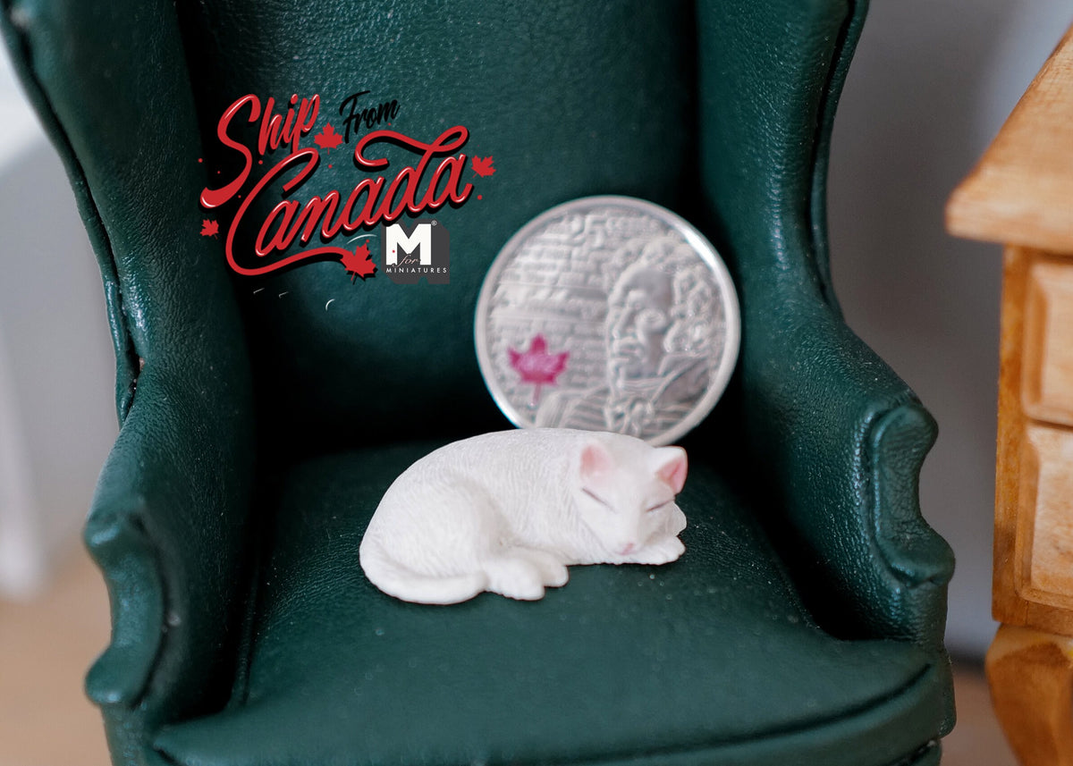 1:12 Scale Miniature Resin Sleeping Cat, Curled Up, 1-1/16 inch long, DIY Dollhouse Supply (white)