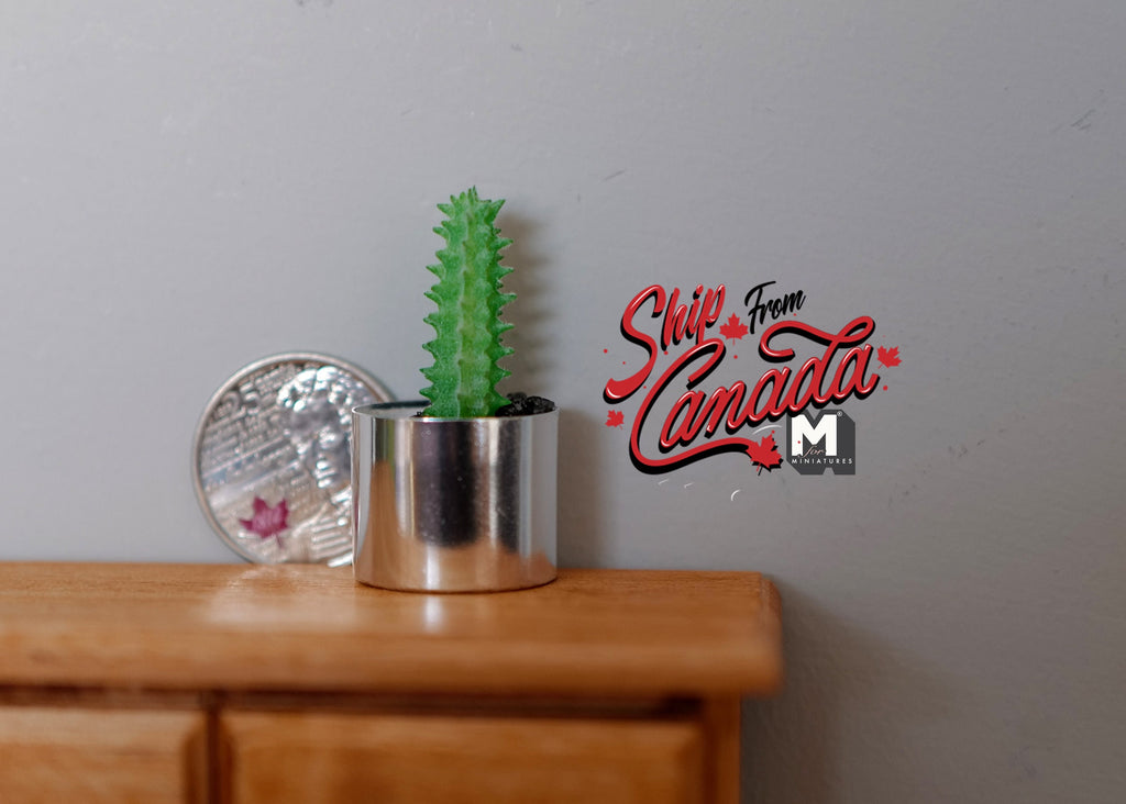 1:12 Scale Miniature Cactus in Silver Round Metal Pot, 1-5/8 inch tall, DIY Dollhouse Supply (short)