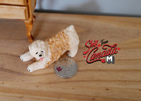 1:12 Dollhouse Miniature Soft Coated Wheaton Terrier Dog 1 12th pet miniature animal pet C052