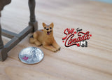1:12 Dollhouse Supplies Miniature Puppy Dog - C048