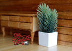 1:12 scale miniature spruce plant with blue green foliage in a white square pot, on a wood floor beside a dresser