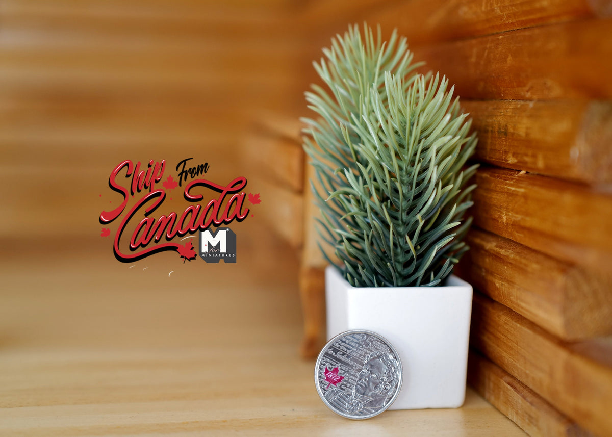 1:12 Scale Miniature Spruce Plant in Square Pot, 3-15/16 inch tall, DIY Dollhouse Supply (white)