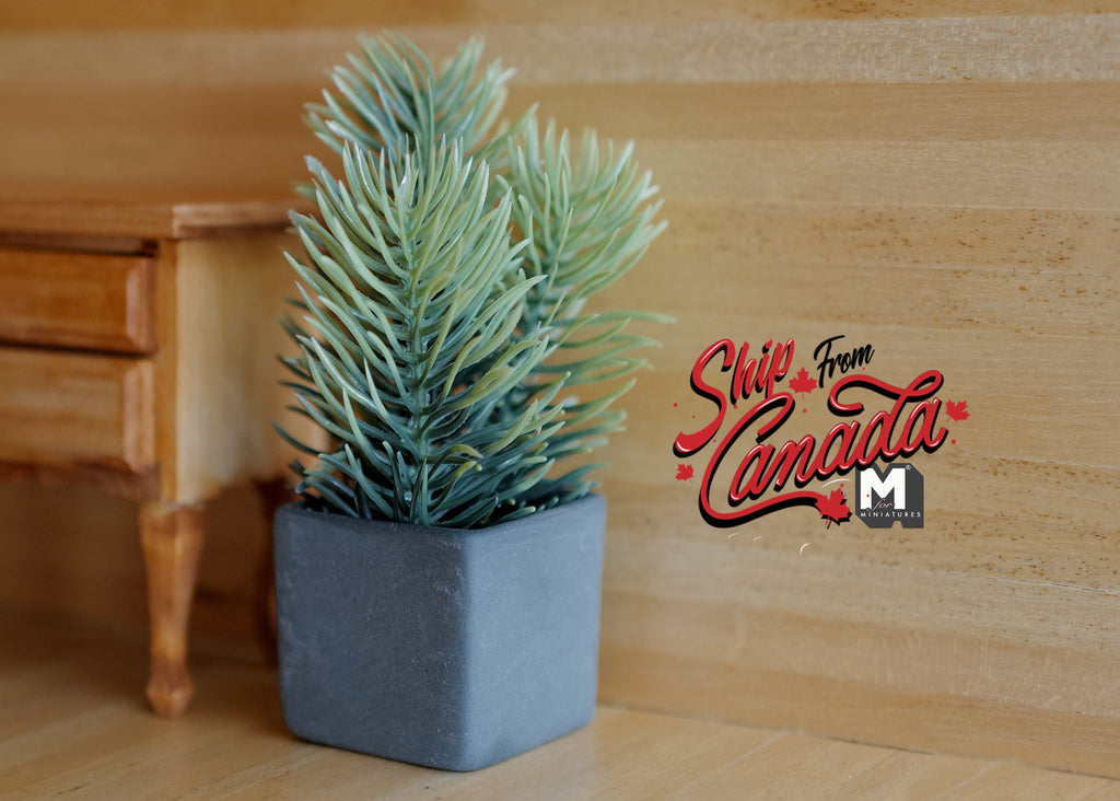 1:12 scale miniature spruce plant in gray square pot with blue-green needle branches, beside a wood dresser