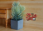 1:12 scale miniature spruce plant in gray square pot with blue-green needle branches, beside a wood dresser