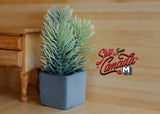 1:12 Dollhouse Supplies Miniature Spruce Plant with Square Flower Pot - B048