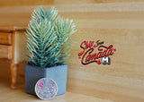 1:12 Dollhouse Supplies Miniature Spruce Plant with Square Flower Pot - B048