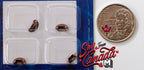 1:12 scale miniature cup pulls in antique bronze, set of 4, shell style drawer pulls in a clear tray beside a coin