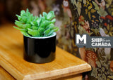 1:12 Dollhouse Supplies miniature plant in black style vase, flower pot (C)- B067