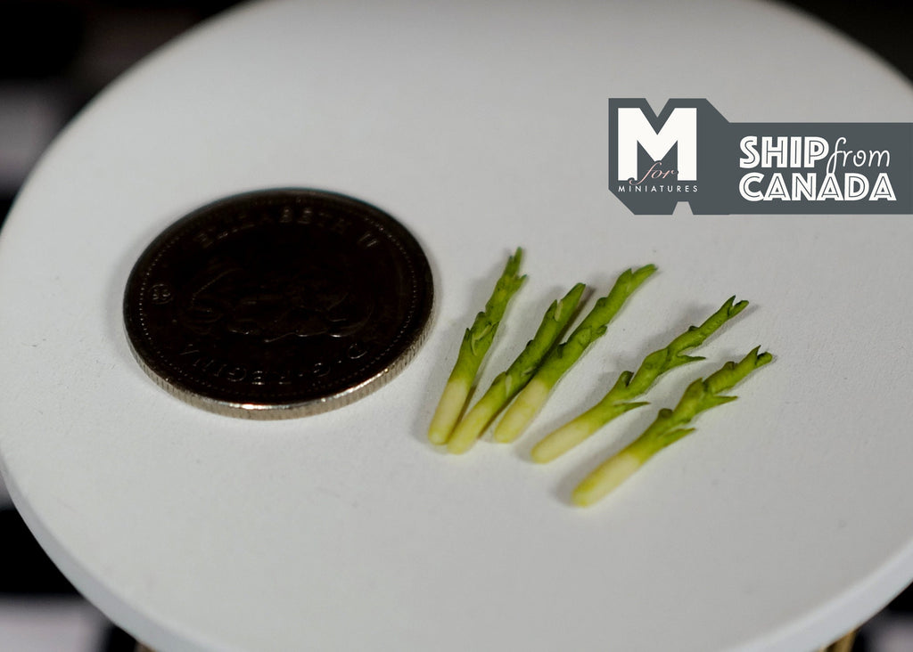 1:12 scale miniature asparagus spears, set of 5, green with pale stems, shown on a white table beside a coin