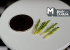 1:12 scale miniature asparagus spears, set of 5, green with pale stems, shown on a white table beside a coin