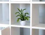 1:12 Dollhouse Supplies miniature plant with white pot miniature leafy tree 1-3/16 inch tall  (dark green) - B058