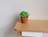 Dollhouse miniature plant with clay pot 1:12 scale plant - 13/16"(H) - B067