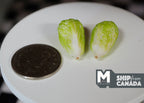 1:12 Scale Miniature Napa Cabbages, Set of 2, 7/8 inch tall, DIY Dollhouse Supply