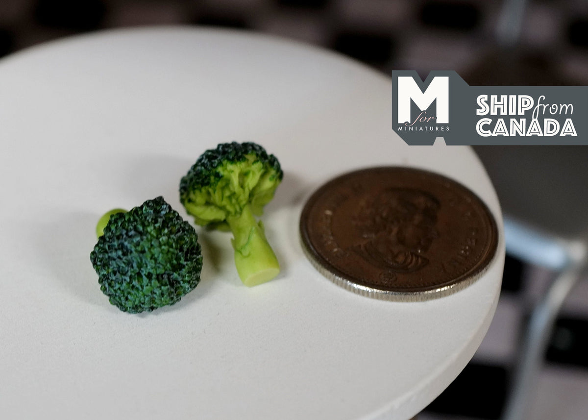 1:12 Scale Miniature Broccoli Heads, Set of 2, 11/16 inch tall, DIY Dollhouse Supply