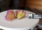 1:12 Scale Miniature Red Leaf Lettuce, Set of 2, 7/8 inch long, DIY Dollhouse Supply