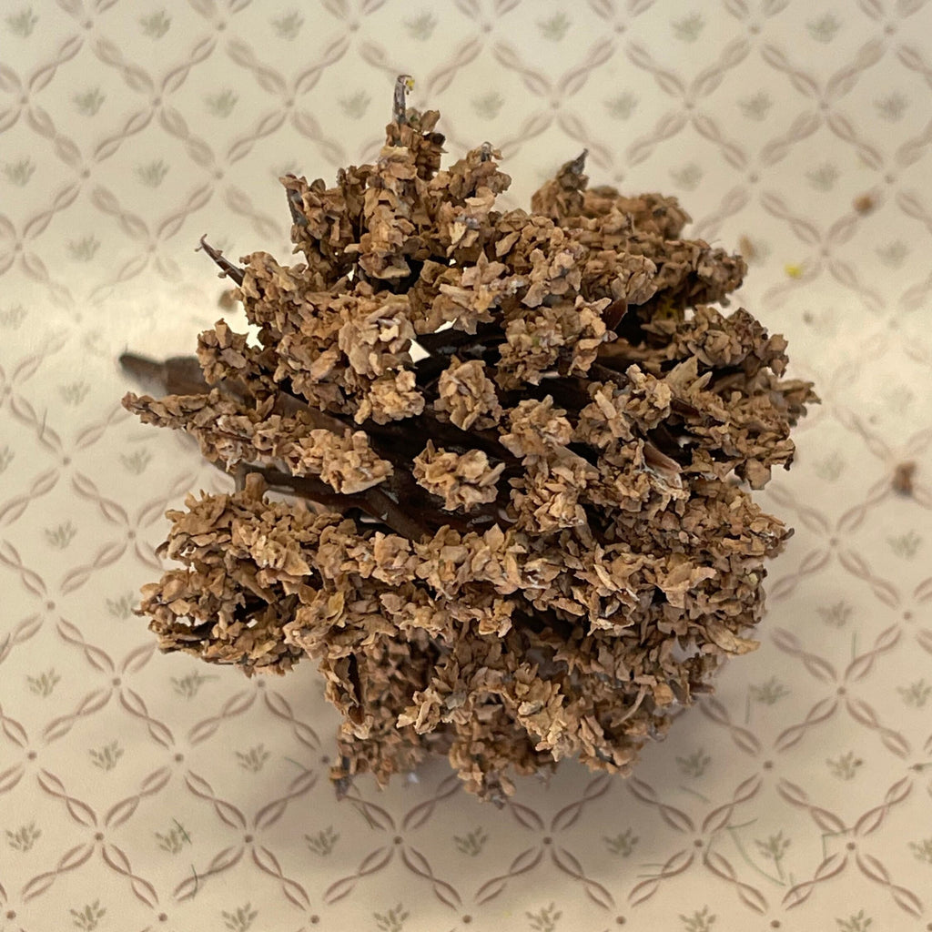 1:12 Scale Miniature Bushy Tree, Dried Look Brown Foliage, 2-3/16 inch tall, DIY Dollhouse Supply