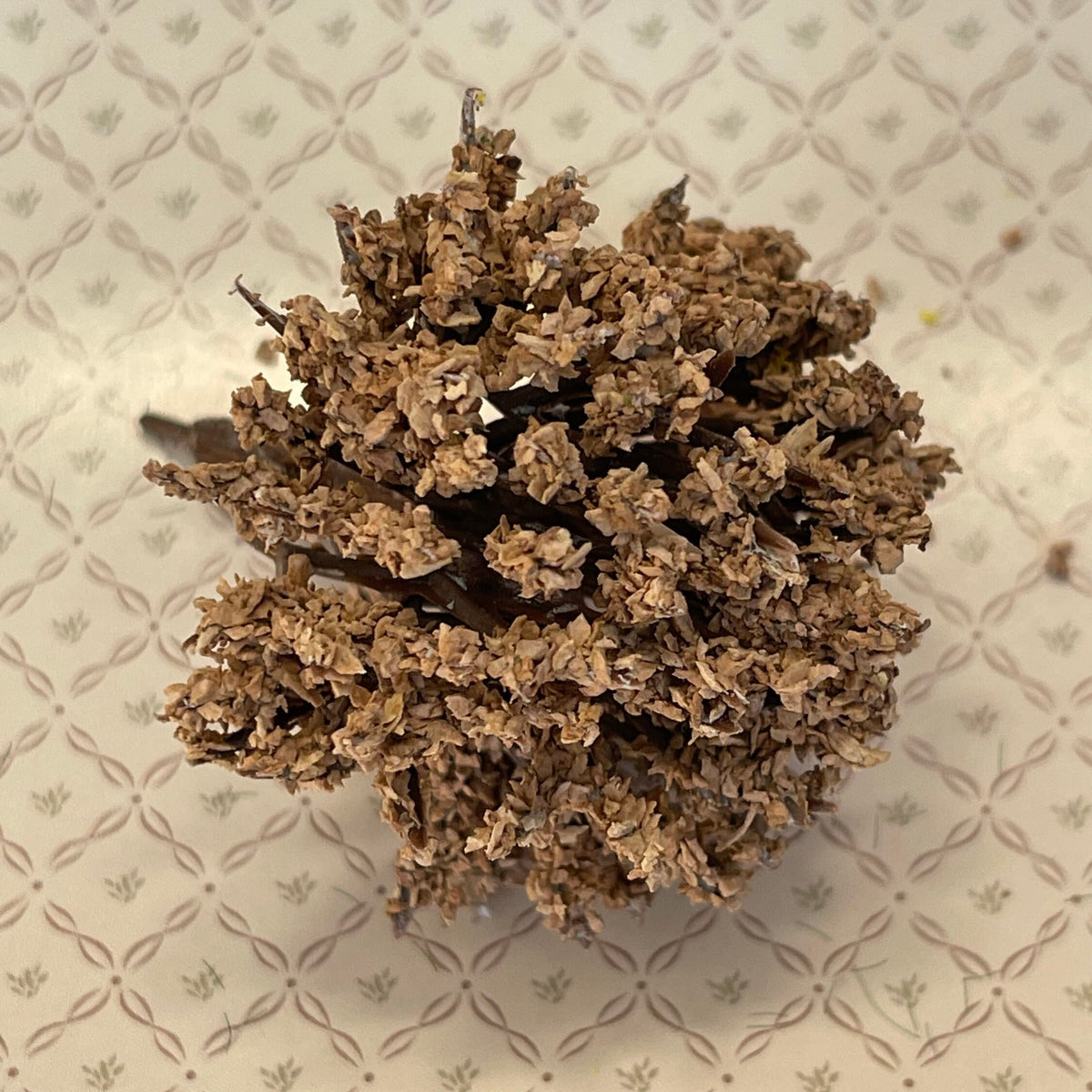 1:12 Scale Miniature Bushy Tree, Dried Look Brown Foliage, 2-3/16 inch tall, DIY Dollhouse Supply