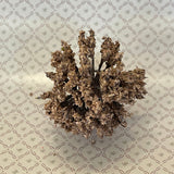 Dollhouse Supplies Miniature Tree 2.25 Inch Tall - I023