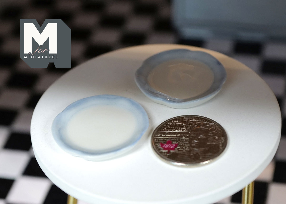 1:12 Dollhouse Supplies Miniature Plate set of 2 - A075